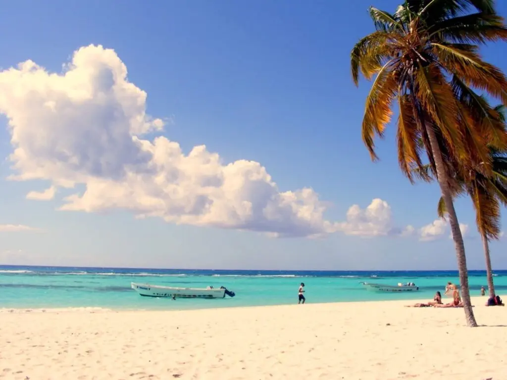 Strand und karibisches Meer mit Palme in Dominica Roseau 