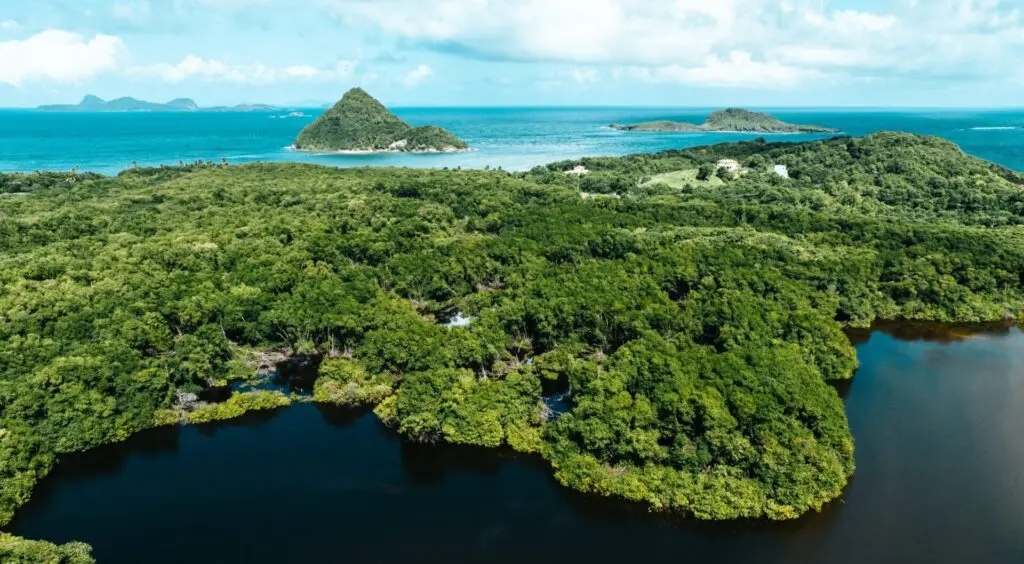 Blick auf Grand Etang Nationalpark in der Karibik