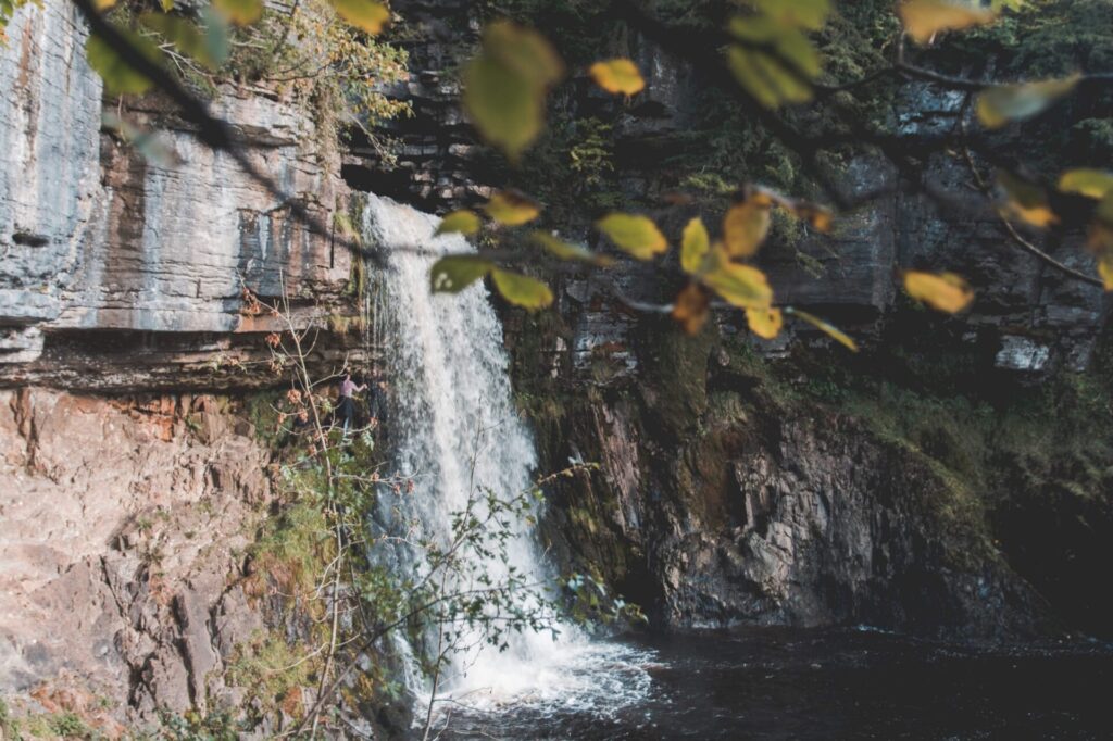 Wasserfall im Wald in der Karibik