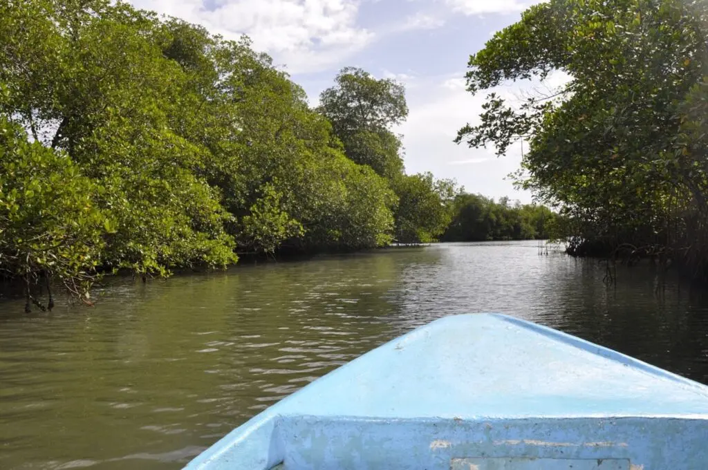 Fluss Chavon in der Dominikanischen Republik