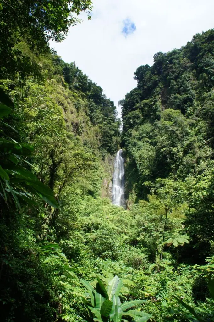 Wasserfall in Dominica Roseau