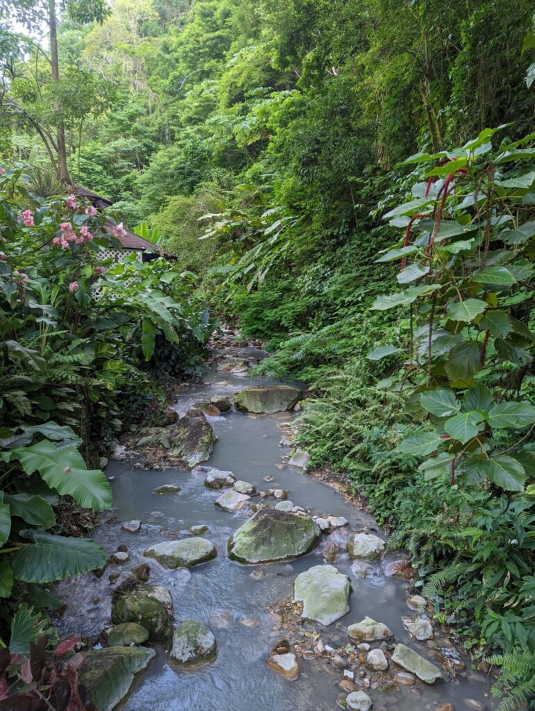 Karibik St. Lucia Castries Berge Natur 