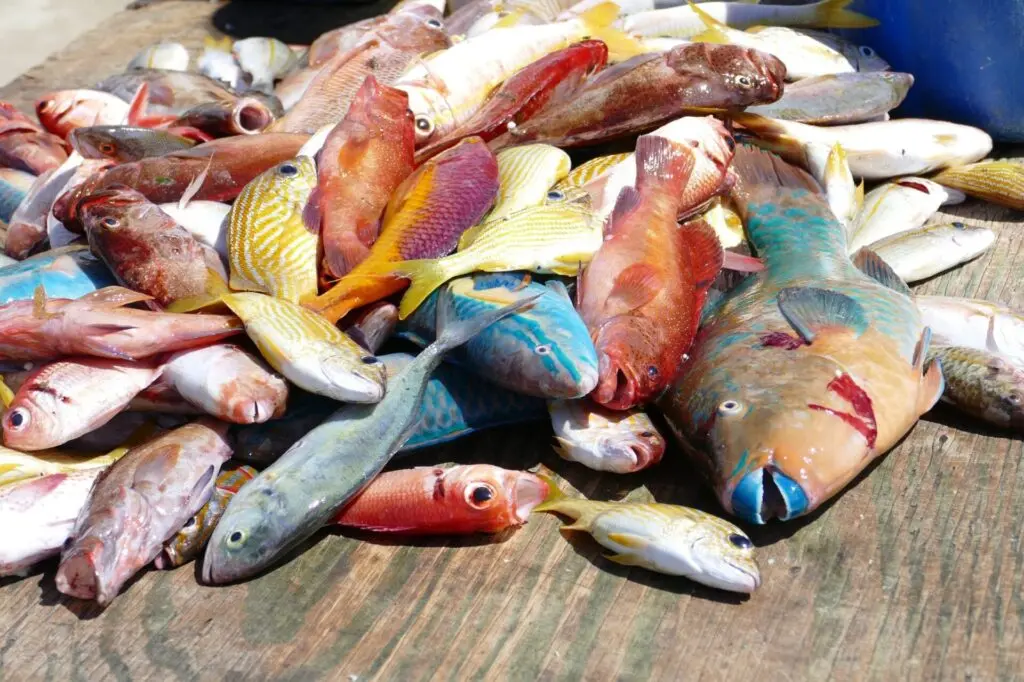 Karibik St. Lucia Castries Zentrum Central Market