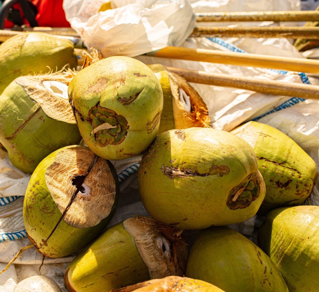 Karibik St. Lucia Castries Zentrum Central Market
