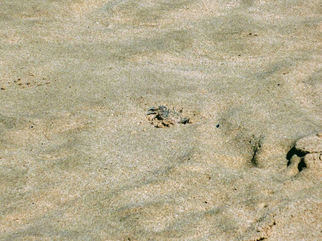 Karibik St. Lucia Castries Strand Reduit Beach