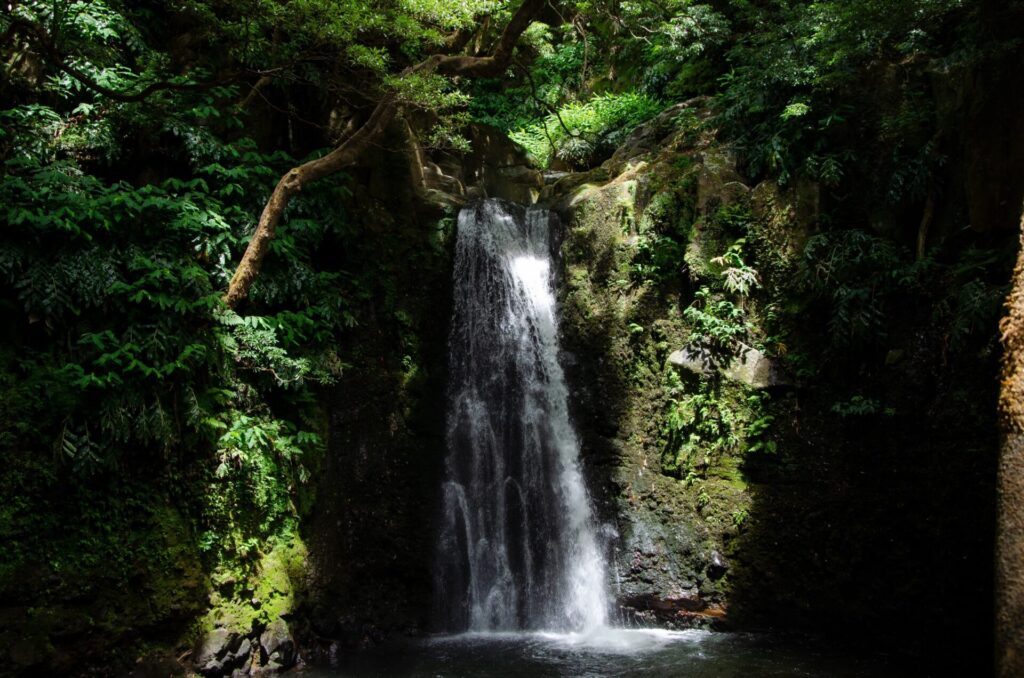 Wasserfall im Wald in der Karibik