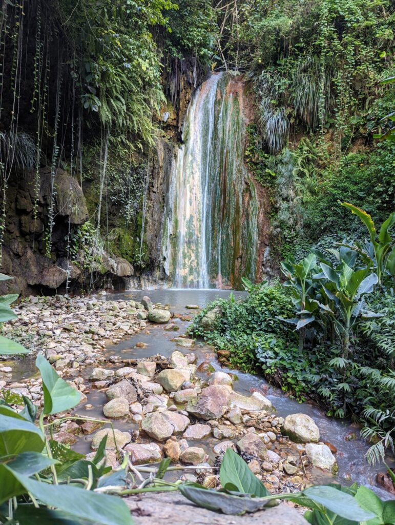 Karibik St. Lucia Castries Natur Berge Wald