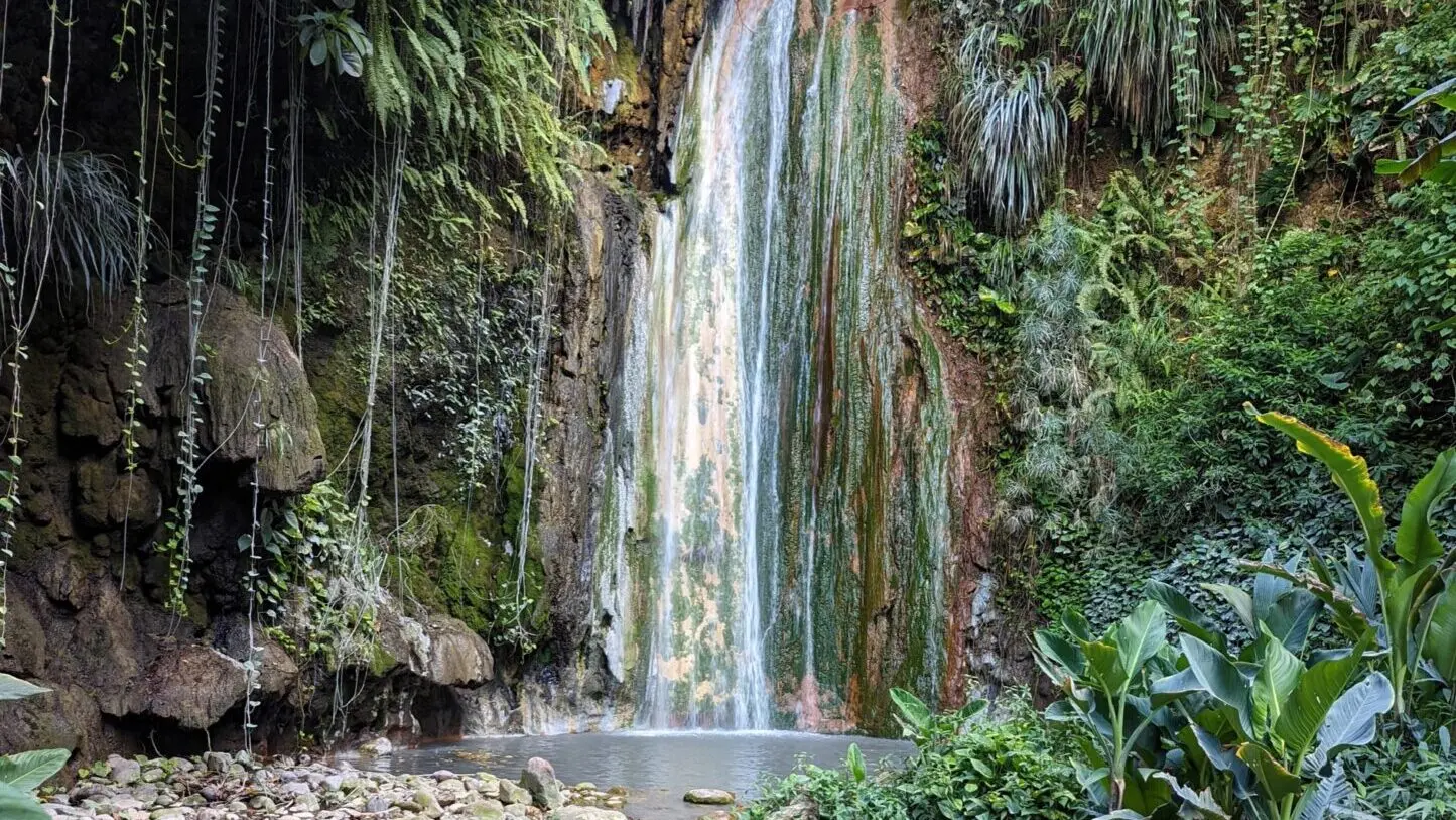 Karibik St. Lucia Castries Natur Berge Wald