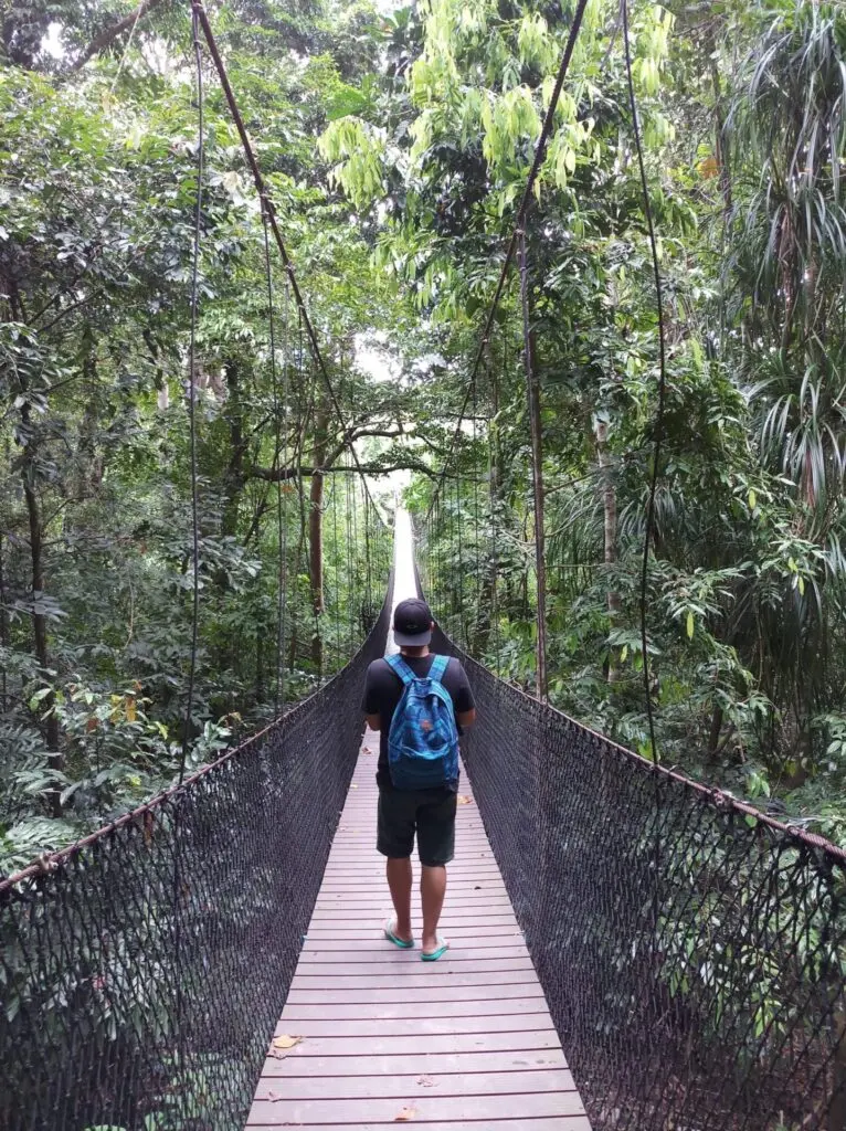 Karibik St. Lucia Castries Natur Berge Wald