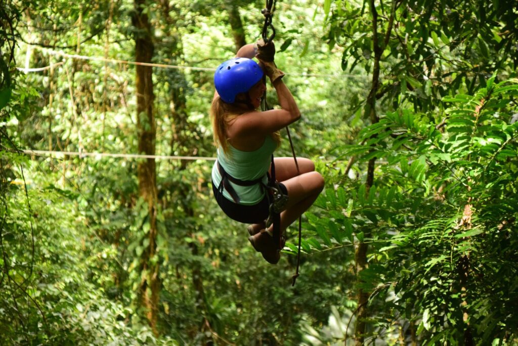 Karibik St. Lucia Castries Natur Berge Wald