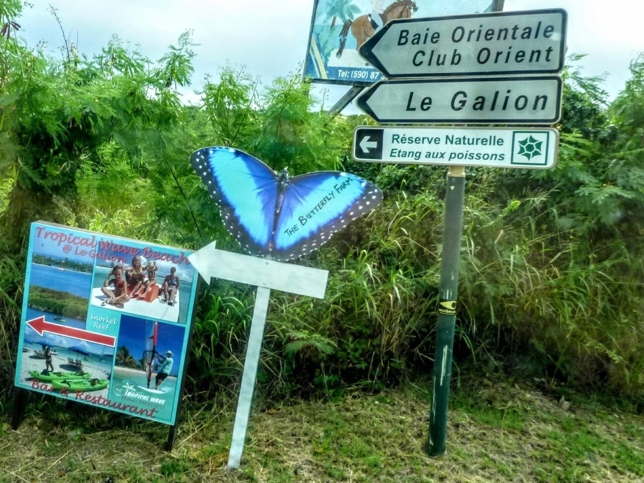 Wegweiser zur Schmetterlingsfarm in Philipsburg St. Maarten 