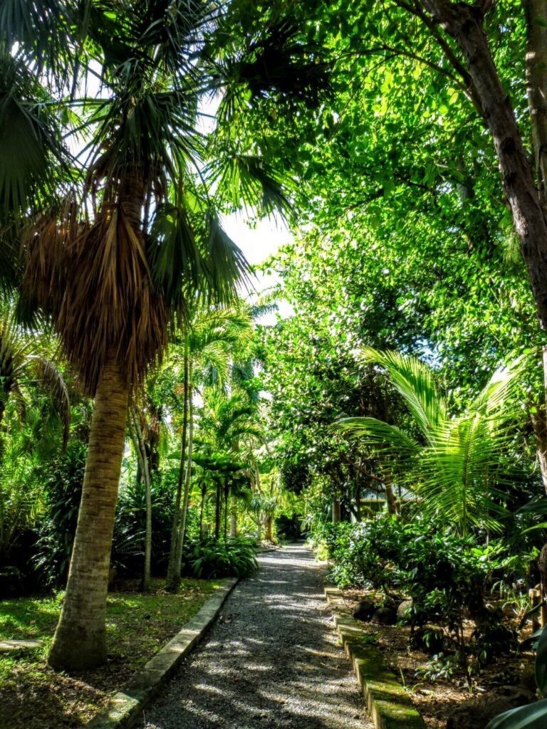 Weg in einem Botaischer Garten in Tortola