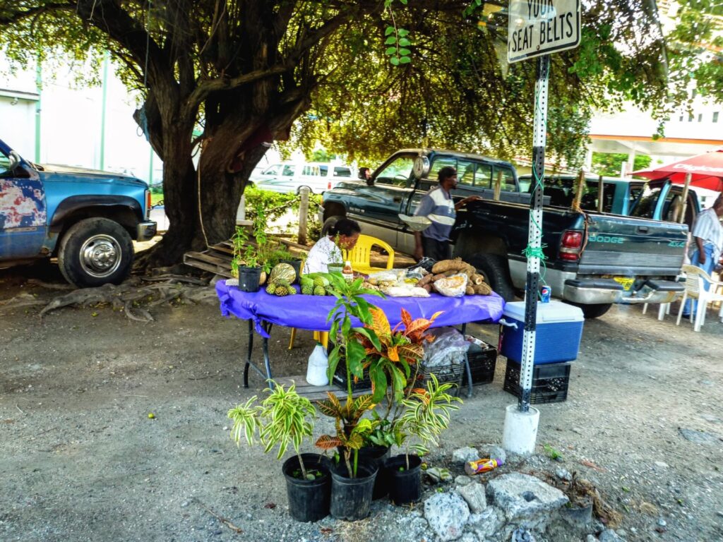 Straßenmarkt in Road Town Tortola