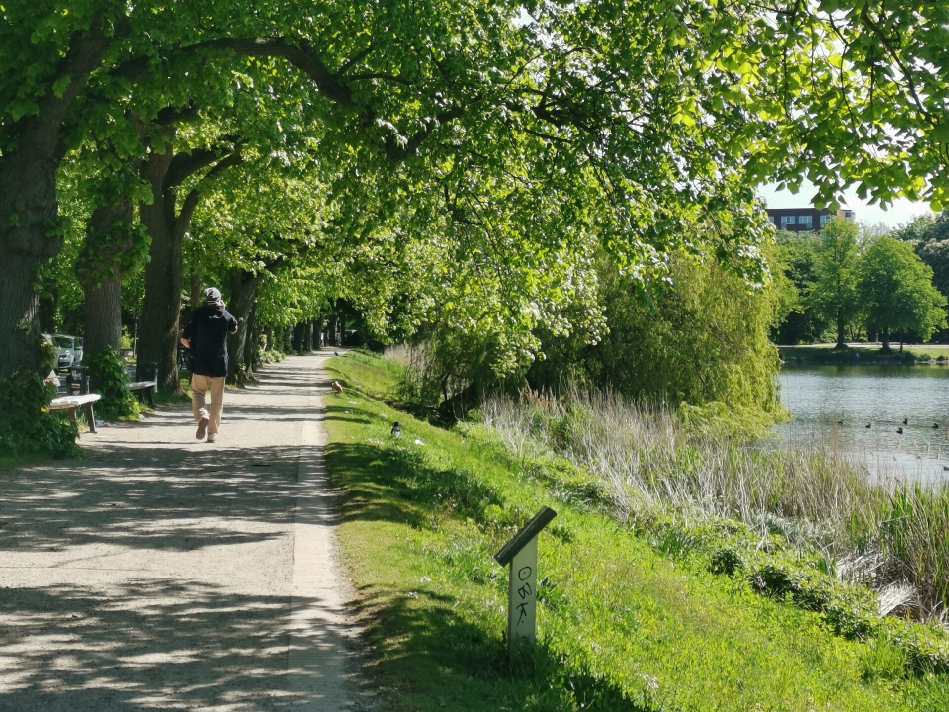 Fußgängerweg im Hiroshimapark Kiel