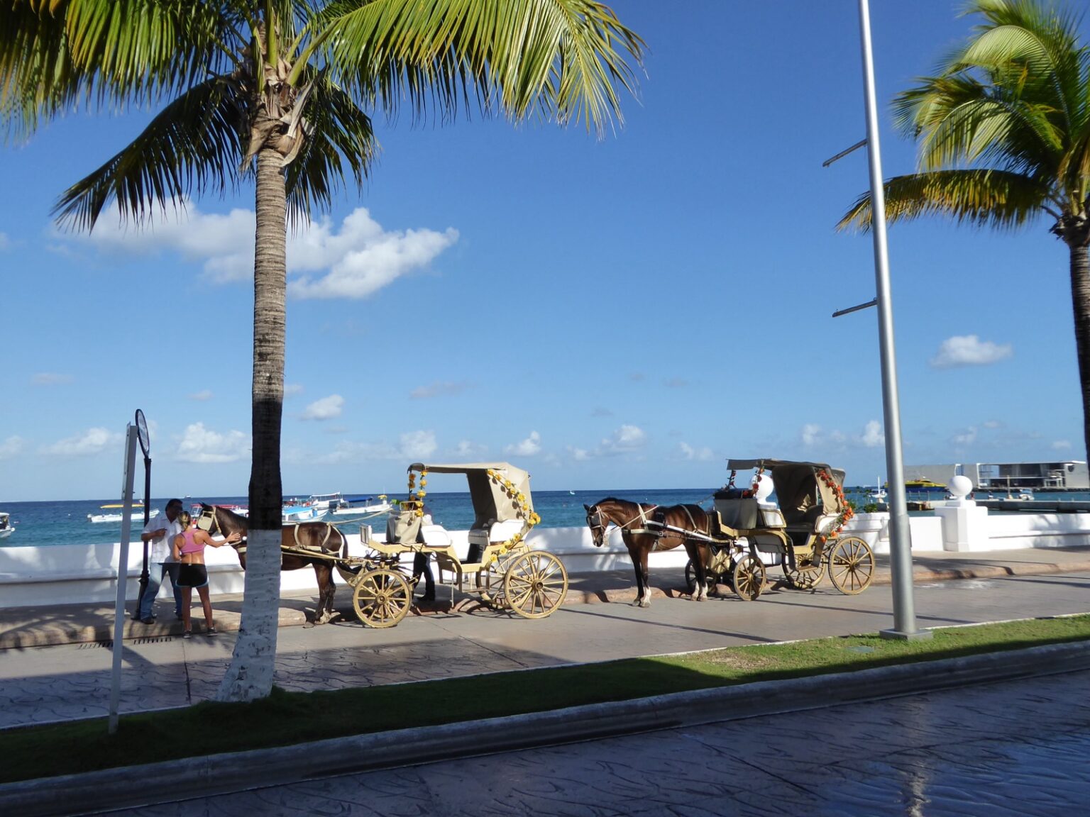 Kutsche am Hafen Punta Langosta Cozumel
