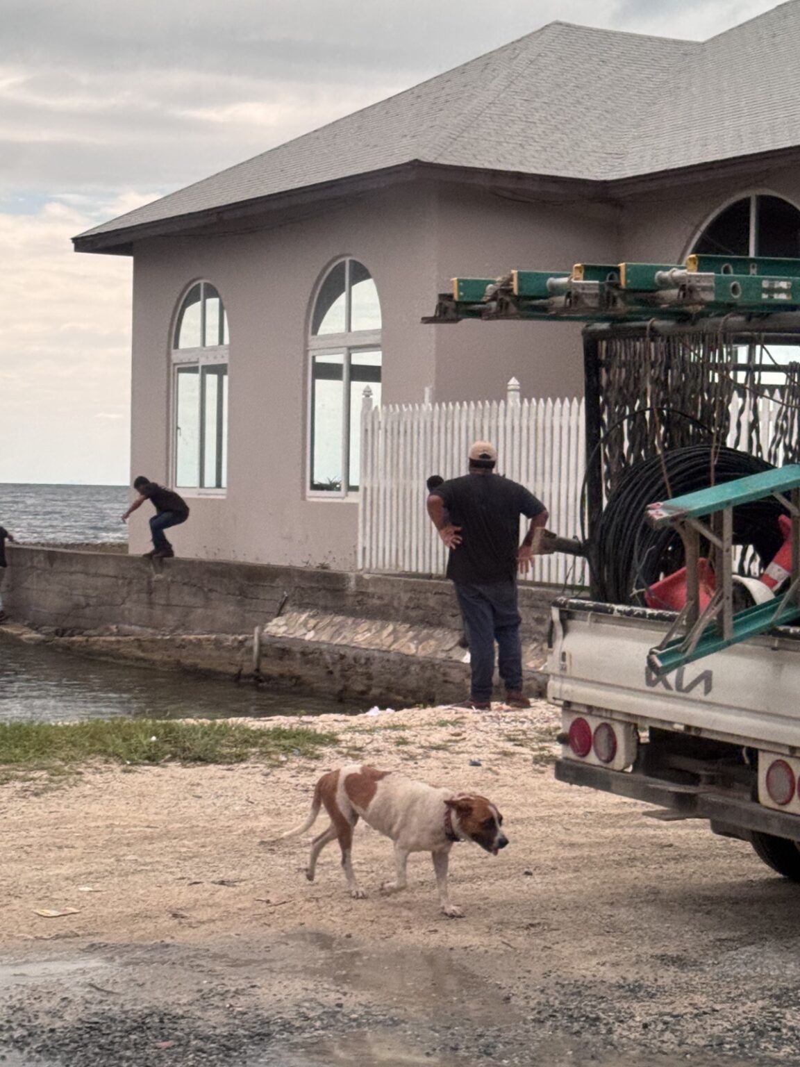 Mann am Hafen mit Hund in Roatan