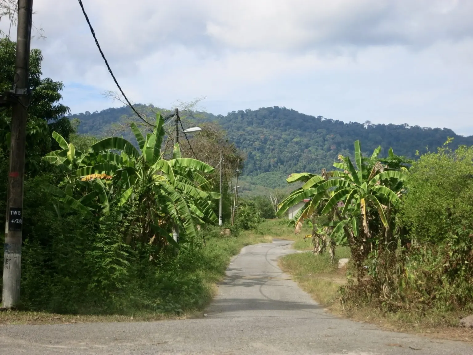 Straße auf Langkawi