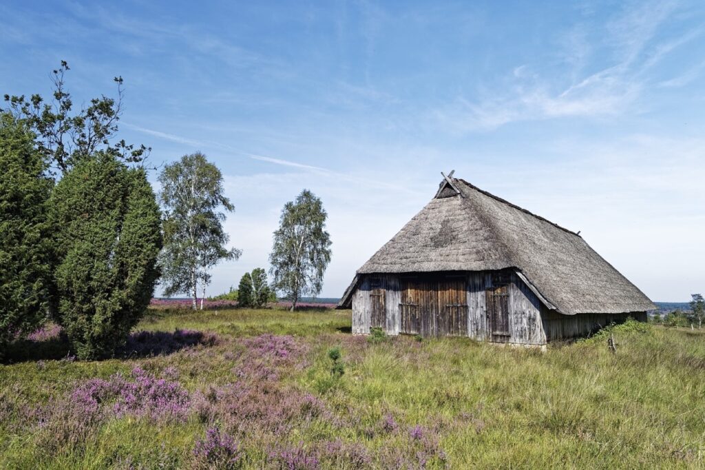 Lüneburger Heide