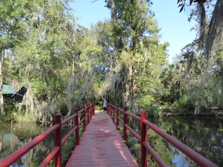 Charleston Magnolia Plantation & Gardens