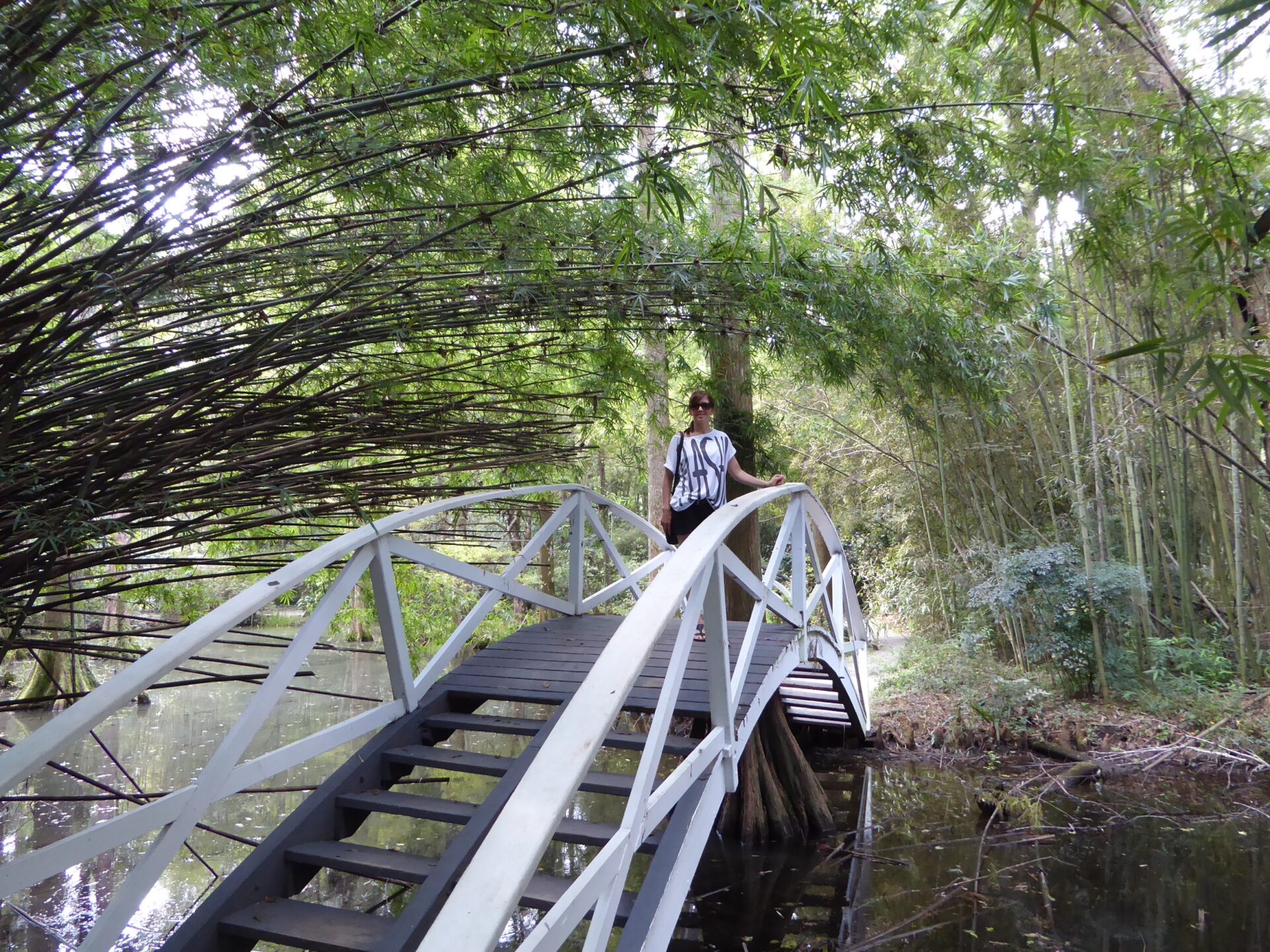 Weiße Holzbrücke mit Frau im Charleston Magnolia Plantation & Gardens