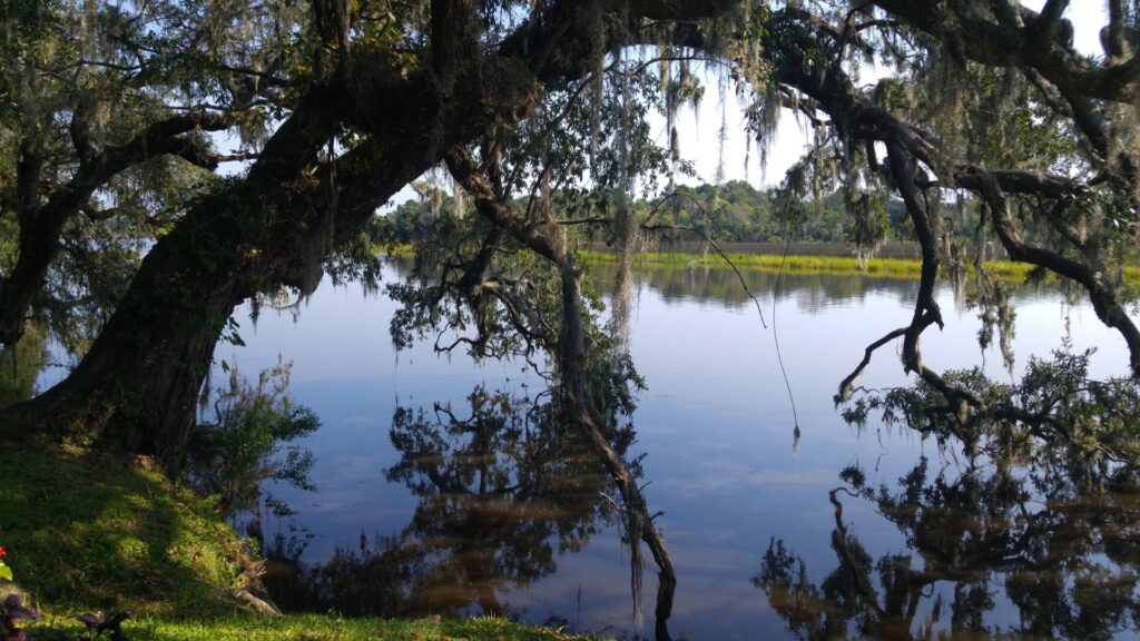 See im Charleston Magnolia Plantation & Gardens