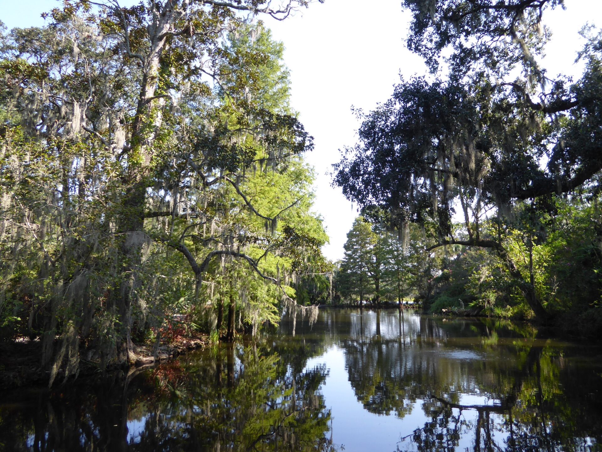 See im Charleston Magnolia Plantation & Gardens