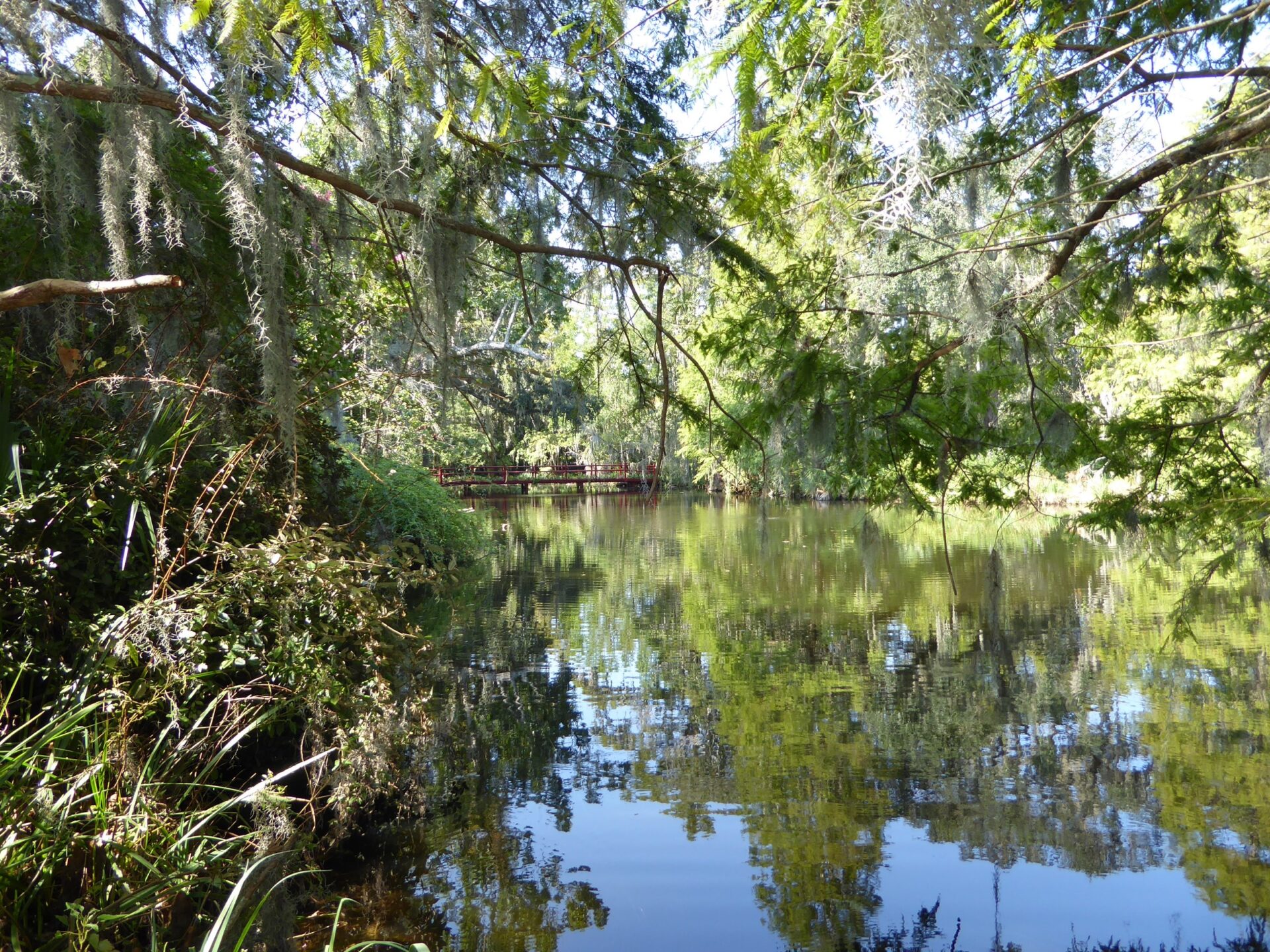 See im Magnolia Plantation & Gardens