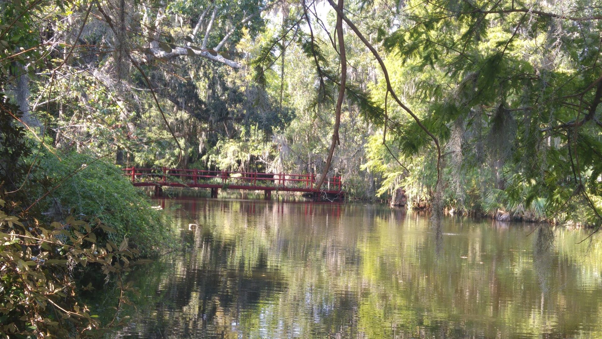 See mit Brücke im Charleston Magnolia Plantation & Gardens