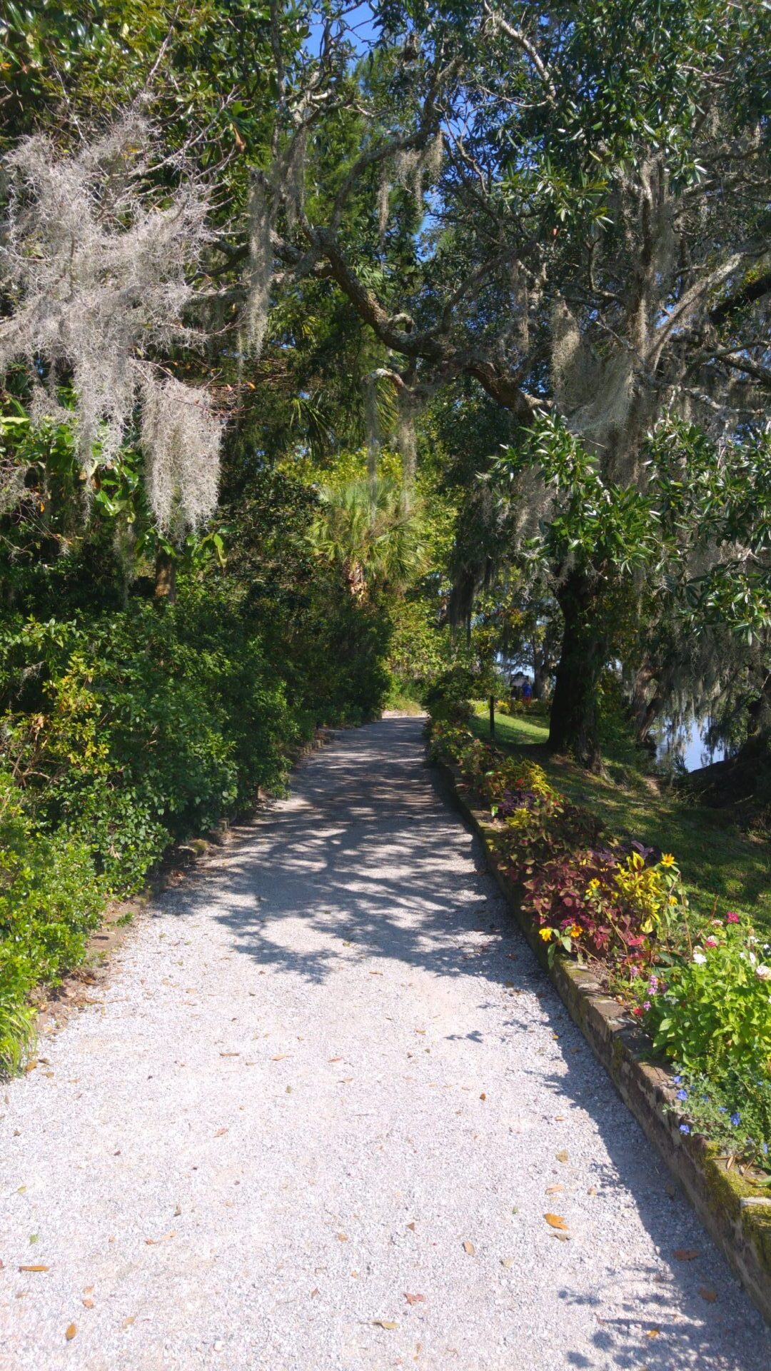 Weg im Charleston Magnolia Plantation & Gardens