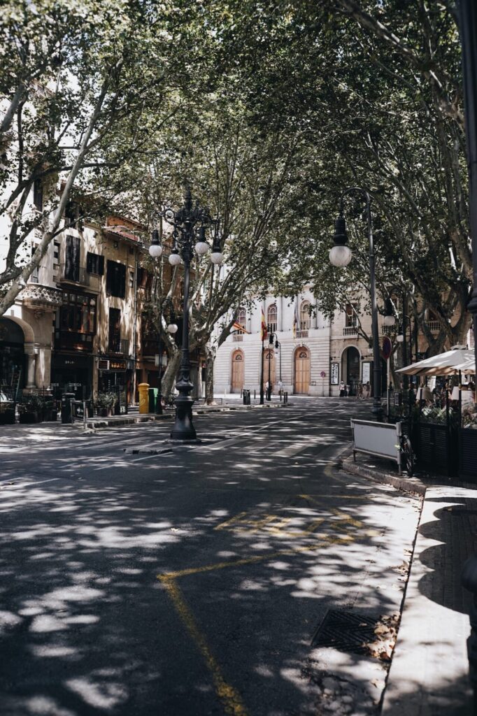 Gasse mit Bäumen in Mallorca