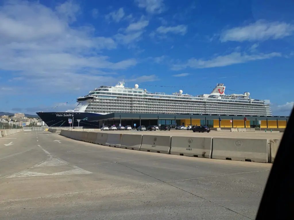 Palme de Mallorca Hafen mit Kreuzfahrtschiff