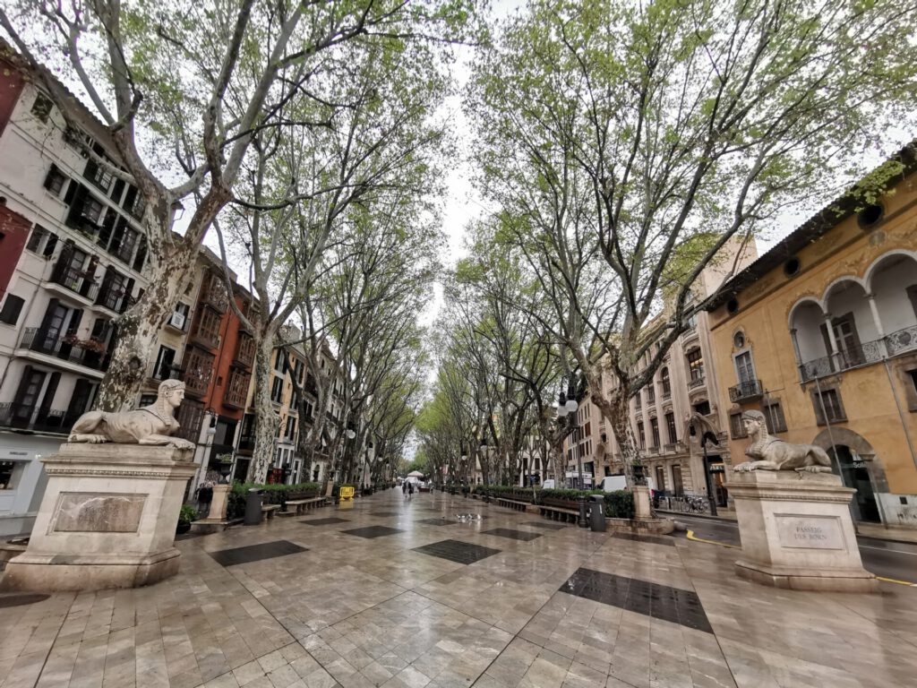 Mallorca Passeig del Born