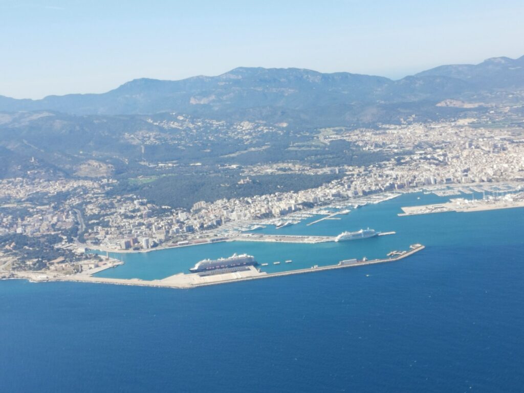 Palme de Mallorca Hafen mit Kreuzfahrtschiff von oben
