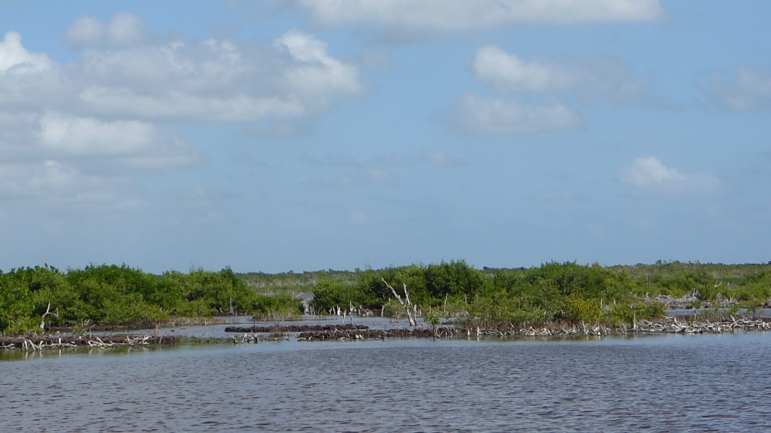 Blick auf Meer und Mangroven Roatan