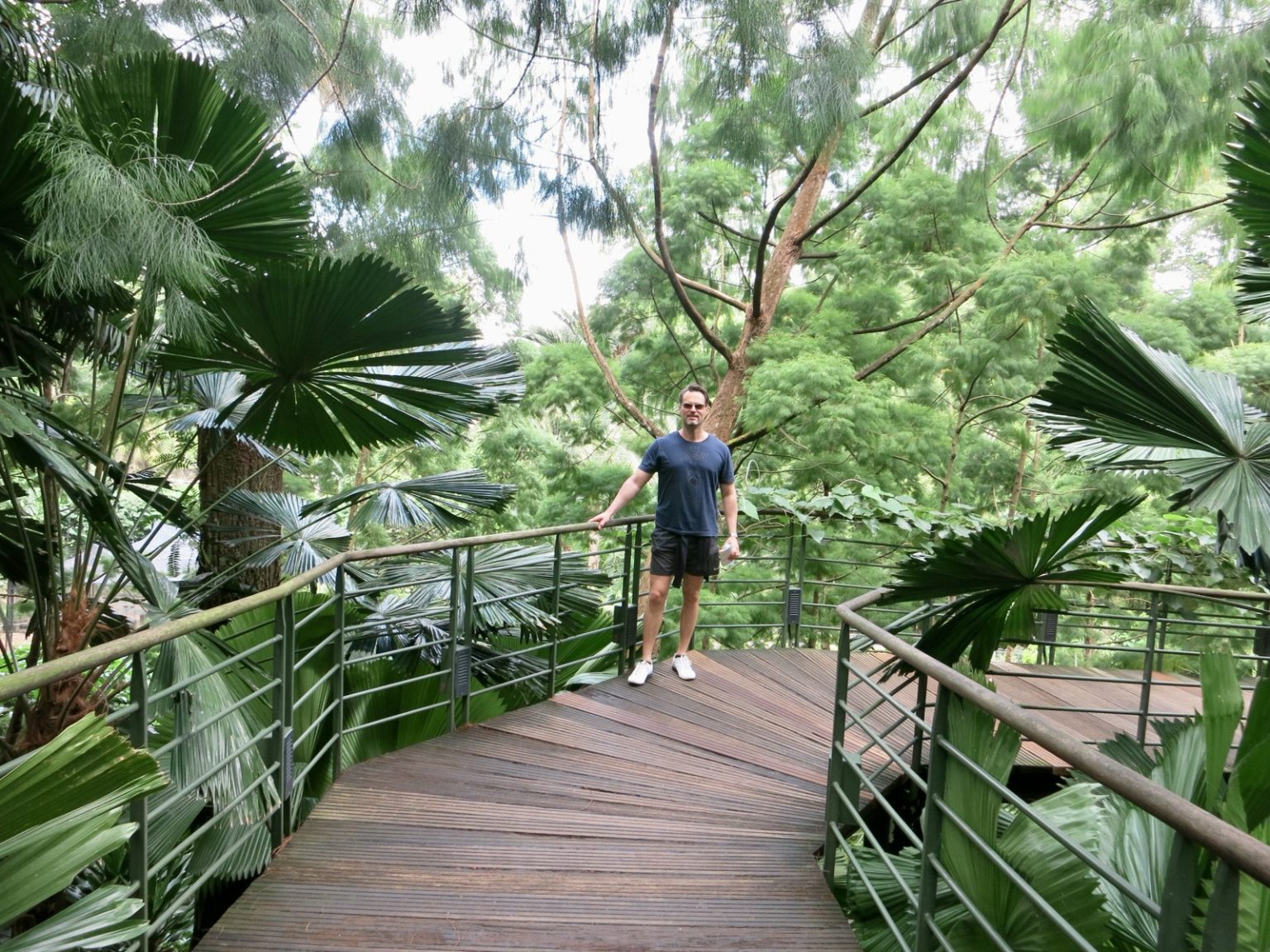 Botanischer Garten Singapur