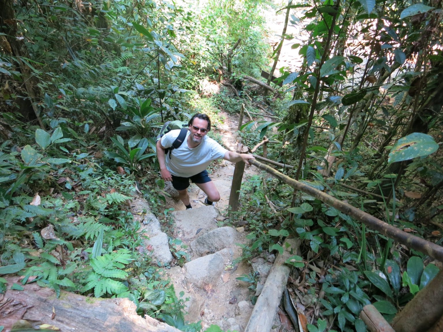 Mann auf Wanderweg im Dschungel