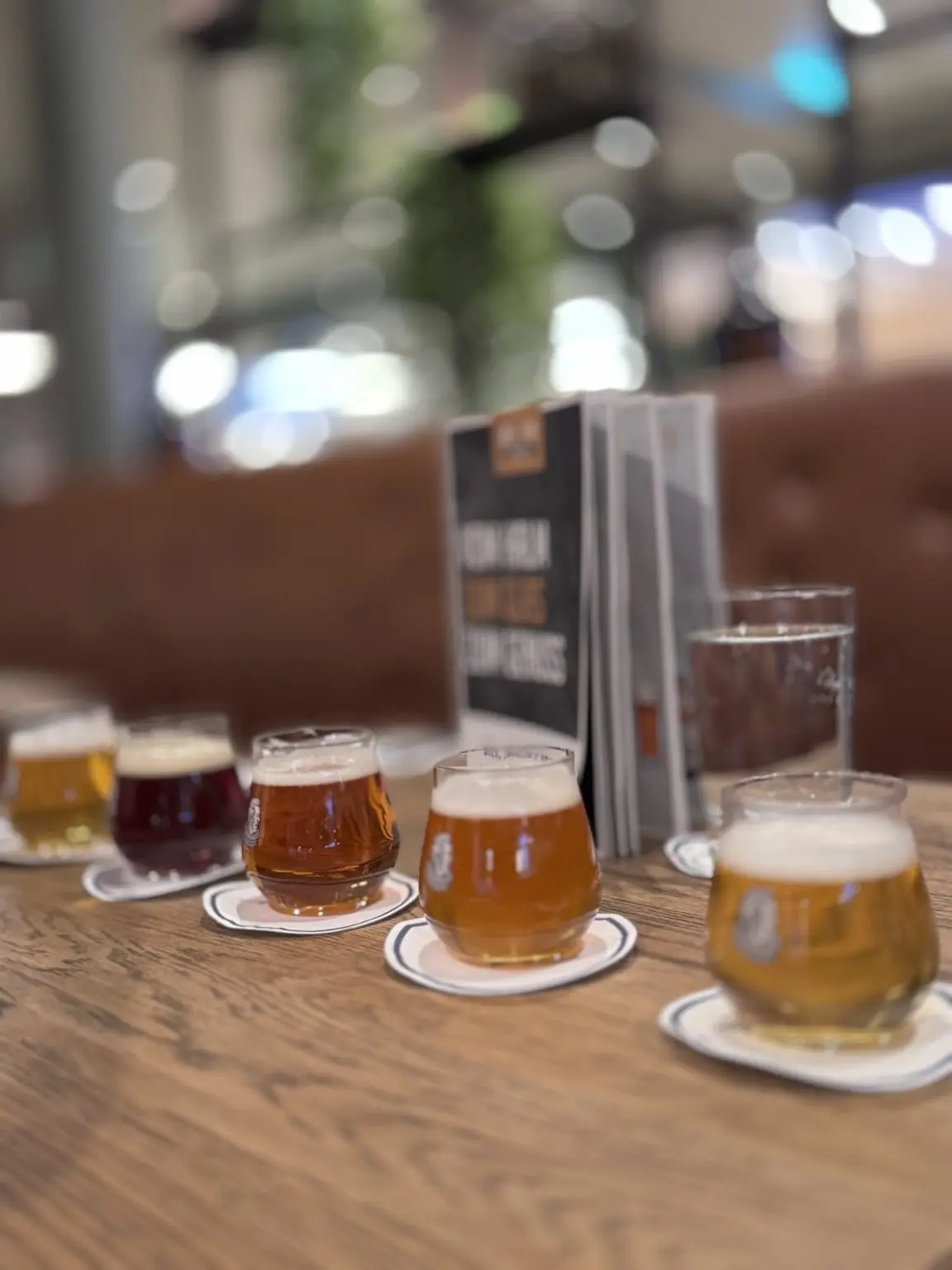 Mein Schiff 1 Ebbe & Flut – Bier Bar