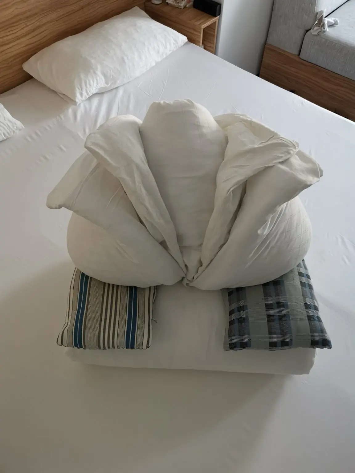 Mein Schiff 5