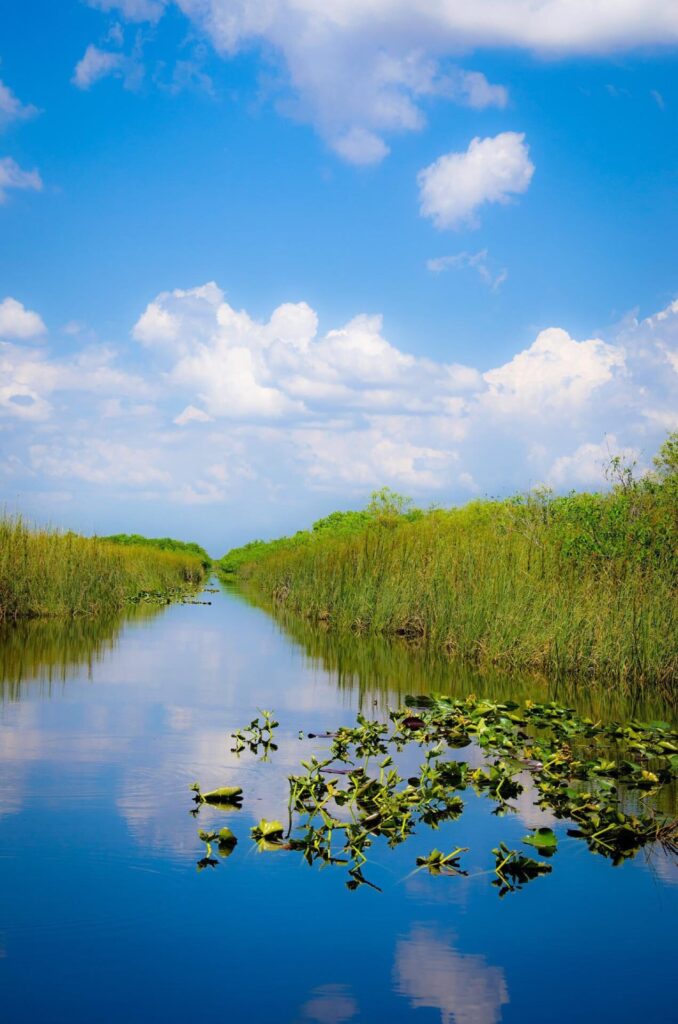 Miami Everglades
