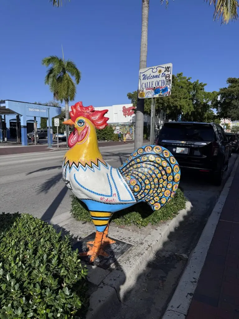 Miami Little Havana bunter Hahn auf der Straße