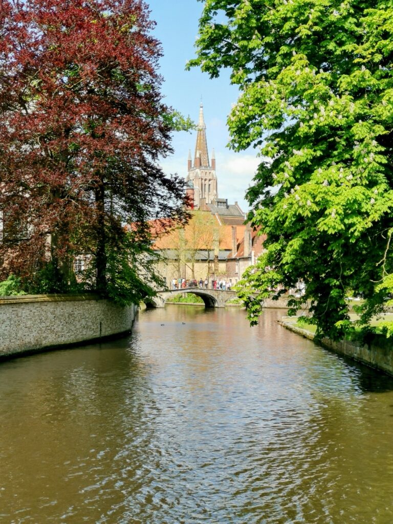Blick Minnewater See in Brügge