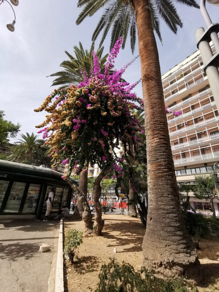Piazza Aldo Moro in Bari