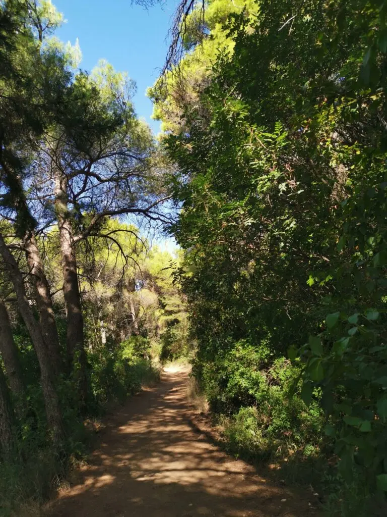 Wanderweg auf dem Berg Srd in Dubrovnik