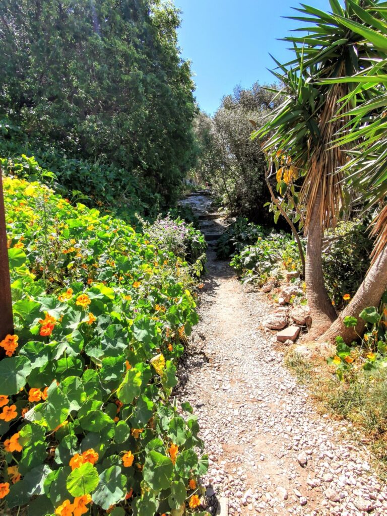 Weg mit Blumen und Bäumen im  Botanischer Garten
