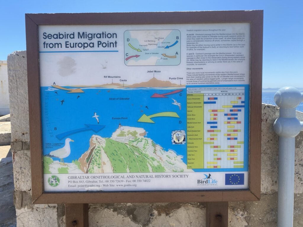 Infotafel am Europa Point in Gibraltar