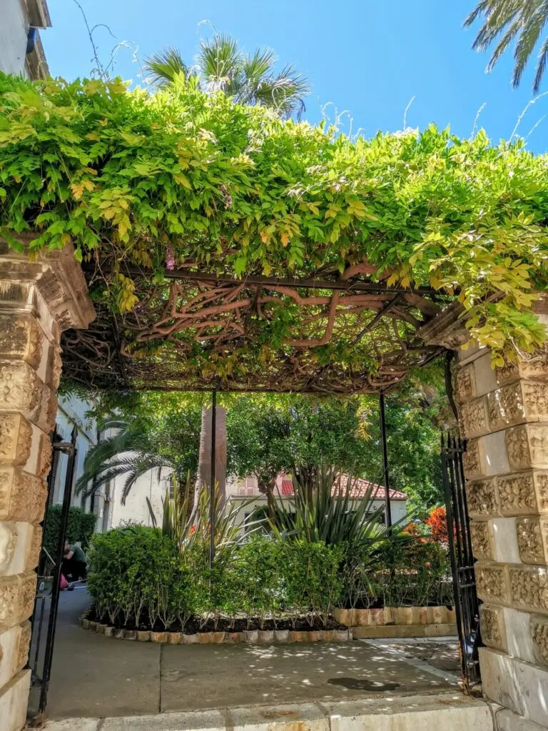 Steinbogen mit Blumen in Gibraltar