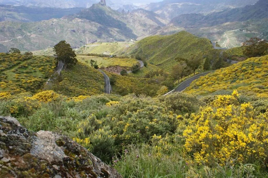 Tamadaba Natural Park auf Gran Canaria 