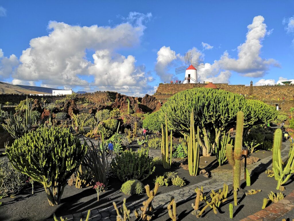 Jardin de Cactus in Lanzarote