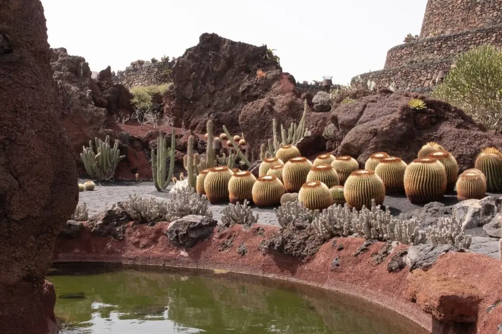 Jardin de Cactus in Lanzarote