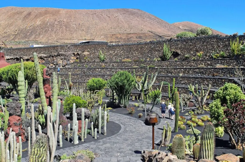 Jardin de Cactus in Lanzarote